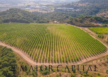 Terreno agricolo Via Sigara, Calangianus - foto 5