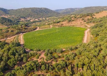 Terreno agricolo Via Sigara, Calangianus - foto 7