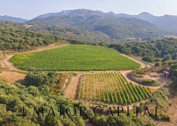 Terreno agricolo Via Sigara, Calangianus - foto 9