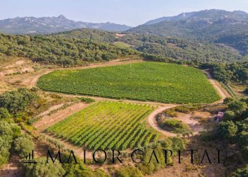Terreno agricolo Via Sigara, Calangianus - foto 10