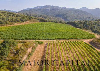 Terreno agricolo Via Sigara, Calangianus - foto 11