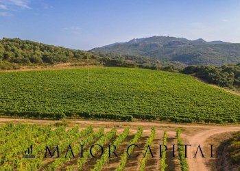 Terreno agricolo Via Sigara, Calangianus - foto 12