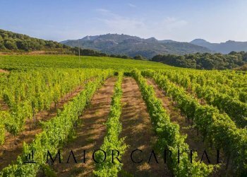 Terreno agricolo Via Sigara, Calangianus - foto 13