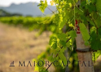 Terreno agricolo Via Sigara, Calangianus - foto 16