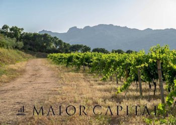 Terreno agricolo Via Sigara, Calangianus - foto 19