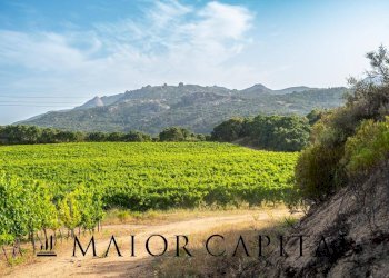 Terreno agricolo Via Sigara, Calangianus - foto 20