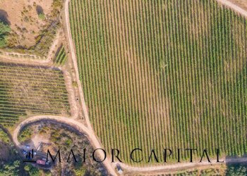 Terreno agricolo Via Sigara, Calangianus - foto 22