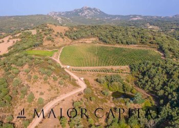 Terreno agricolo Via Sigara, Calangianus - foto 23