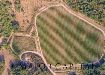 Terreno agricolo Via Sigara, Calangianus - foto 24