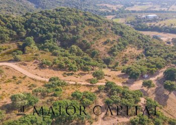 Terreno agricolo Via Sigara, Calangianus - foto 25