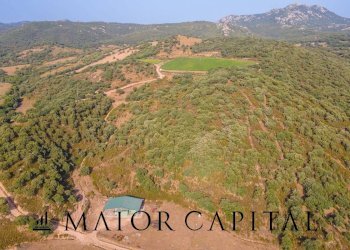 Terreno agricolo Via Sigara, Calangianus - foto 27