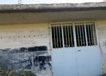 05.FALERONE - ZONA ARTG. SANTA MARGHERITA- LOTTO E - Terreno edificabile Falerone - foto 5