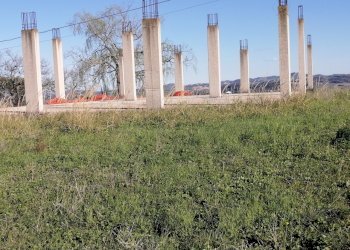 06.FALERONE - ZONA ARTG. SANTA MARGHERITA- LOTTO E - Terreno edificabile Falerone - foto 6