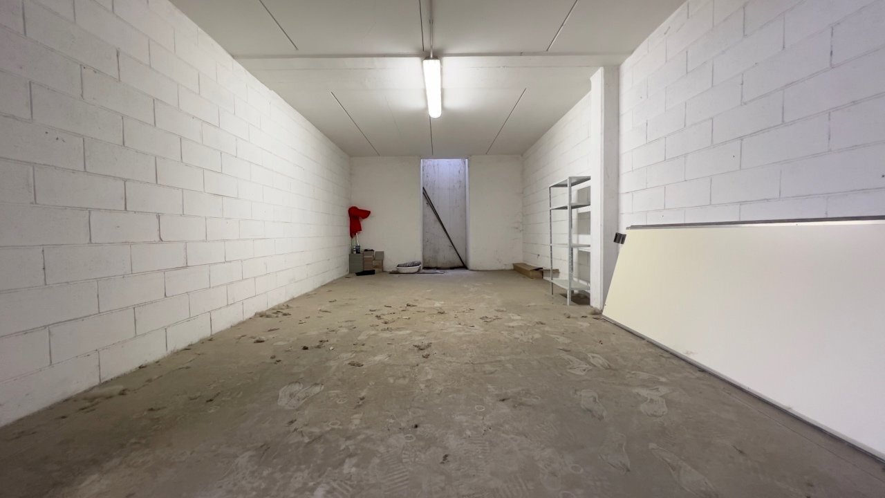 IMG_6728.jpg - Box Via Leopardi, Borgosatollo - foto 3