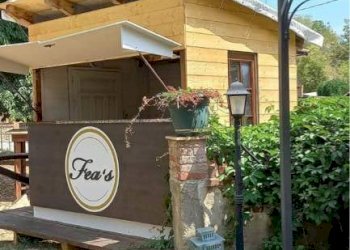 Ristorante Piazza Armando Diaz, 1, Villar San Costanzo - foto 5