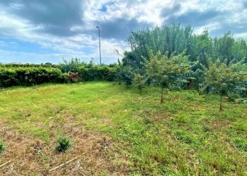 Independent house Falciano del Massico - photo 15