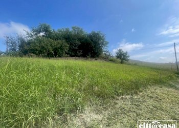 Casa semi indipendente Aramengo - foto 40