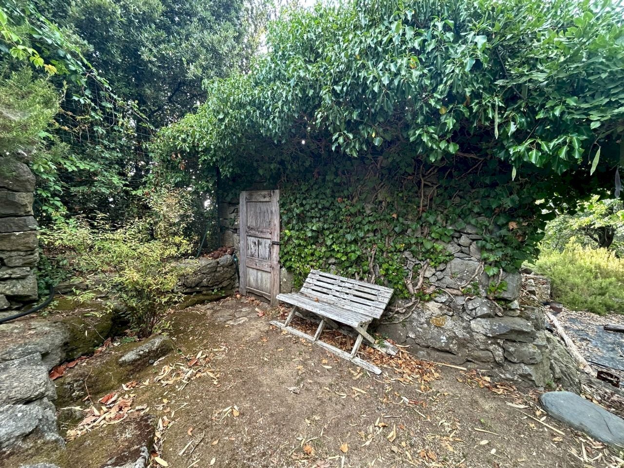 WhatsApp Image 2023-08-03 at 09.21.26.jpeg - Rustico Ameglia - foto 2