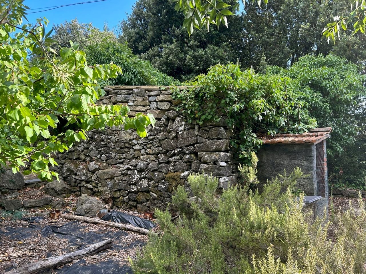 WhatsApp Image 2023-08-03 at 09.20.02 (2).jpeg - Rustico Ameglia - foto 3