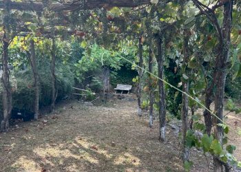 WhatsApp Image 2023-08-03 at 09.21.35 (6).jpeg - Rustico Ameglia - foto 1