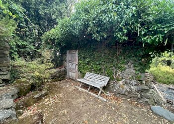 WhatsApp Image 2023-08-03 at 09.21.26.jpeg - Rustico Ameglia - foto 2