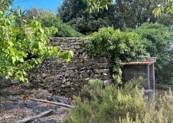 WhatsApp Image 2023-08-03 at 09.20.02 (2).jpeg - Rustico Ameglia - foto 3