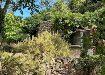 WhatsApp Image 2023-08-03 at 09.20.02 (3).jpeg - Rustico Ameglia - foto 4