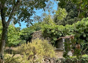 WhatsApp Image 2023-08-03 at 09.20.02 (1).jpeg - Rustico Ameglia - foto 5