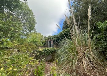 WhatsApp Image 2023-08-03 at 09.20.02.jpeg - Rustico Ameglia - foto 6