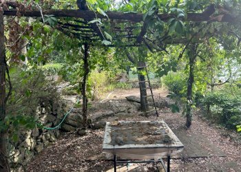 WhatsApp Image 2023-08-03 at 09.20.02 (4).jpeg - Rustico Ameglia - foto 8