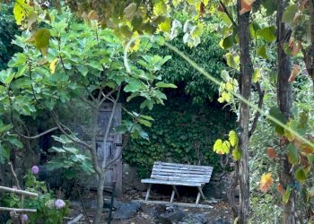 WhatsApp Image 2023-08-03 at 09.21.35 (4).jpeg - Rustico Ameglia - foto 9