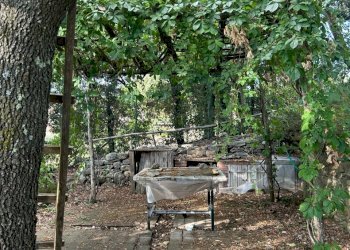 WhatsApp Image 2023-08-03 at 09.20.01.jpeg - Rustico Ameglia - foto 10