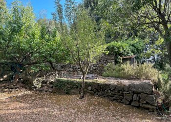 WhatsApp Image 2023-08-03 at 09.20.02 (5).jpeg - Rustico Ameglia - foto 12