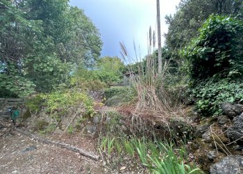 WhatsApp Image 2023-08-03 at 09.20.02 (7).jpeg - Rustico Ameglia - foto 14