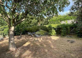 WhatsApp Image 2023-08-03 at 09.21.34.jpeg - Rustico Ameglia - foto 15