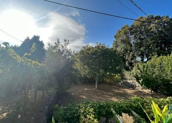 WhatsApp Image 2023-08-03 at 09.21.35 (3).jpeg - Rustico Ameglia - foto 17