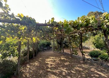 WhatsApp Image 2023-08-03 at 09.21.35 (2).jpeg - Rustico Ameglia - foto 19