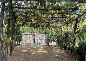 WhatsApp Image 2023-08-03 at 09.21.35 (8).jpeg - Rustico Ameglia - foto 20