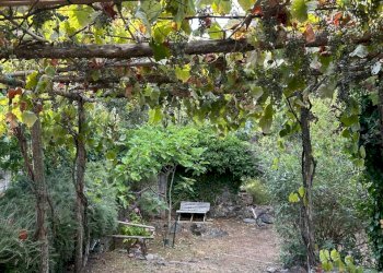 WhatsApp Image 2023-08-03 at 09.21.35 (7).jpeg - Rustico Ameglia - foto 21