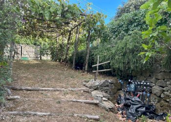 WhatsApp Image 2023-08-03 at 09.21.34 (1).jpeg - Rustico Ameglia - foto 22