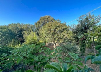 WhatsApp Image 2023-08-03 at 09.21.35.jpeg - Rustico Ameglia - foto 23