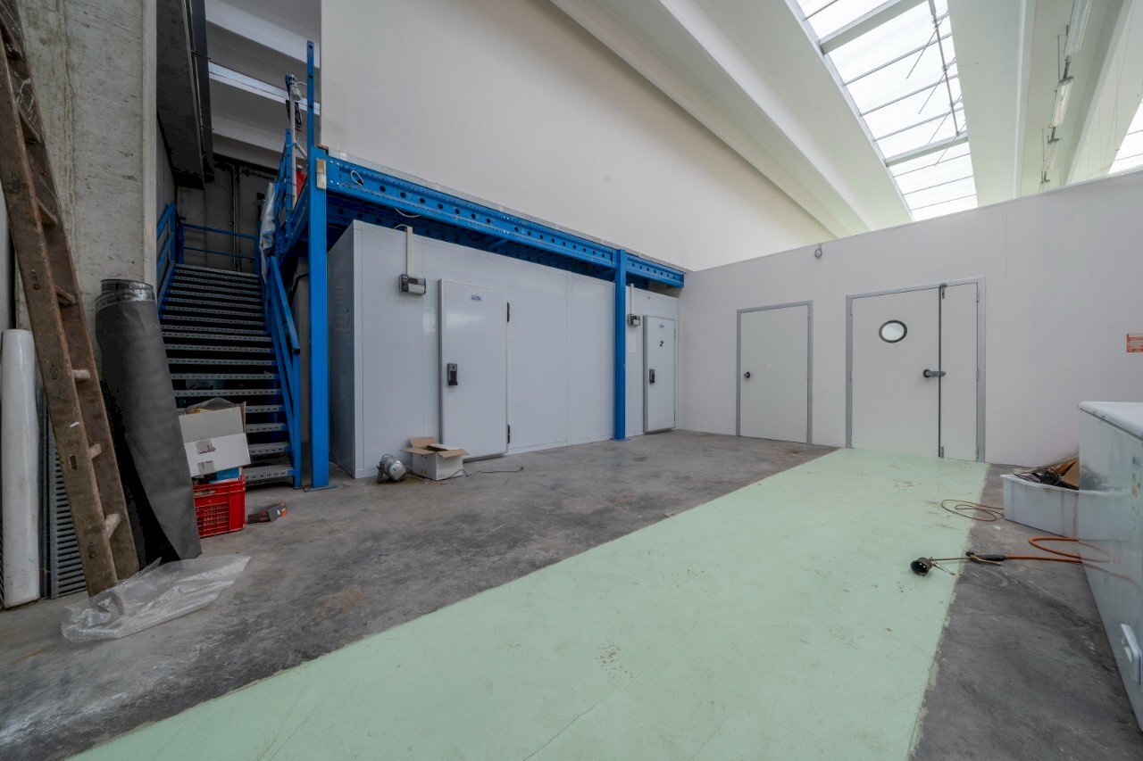 Capannone Reggio nell'Emilia - foto 2