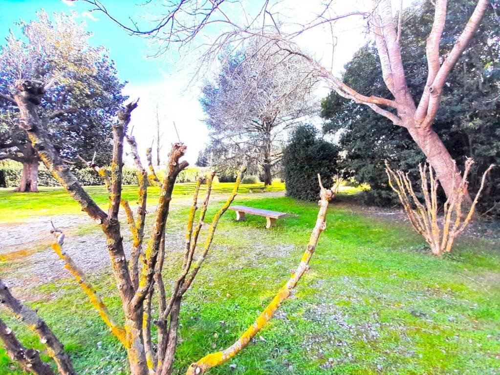 PARCO - Trilocale via dell'Arno, Montelupo Fiorentino - foto 2