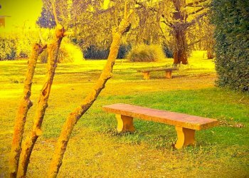 PARCO - Trilocale via dell'Arno, Montelupo Fiorentino - foto 33