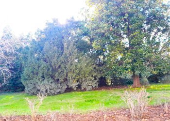 PARCO - Trilocale via dell'Arno, Montelupo Fiorentino - foto 13