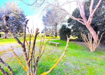 PARCO - Trilocale via dell'Arno, Montelupo Fiorentino - foto 2