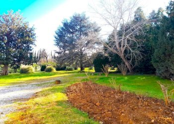 PARCO - Trilocale via dell'Arno, Montelupo Fiorentino - foto 3