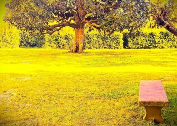 PARCO - Trilocale via dell'Arno, Montelupo Fiorentino - foto 7