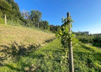 Altro - Rustico via Val Roveto, Trescore Balneario - foto 9