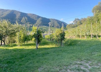 Altro - Rustico via Val Roveto, Trescore Balneario - foto 11